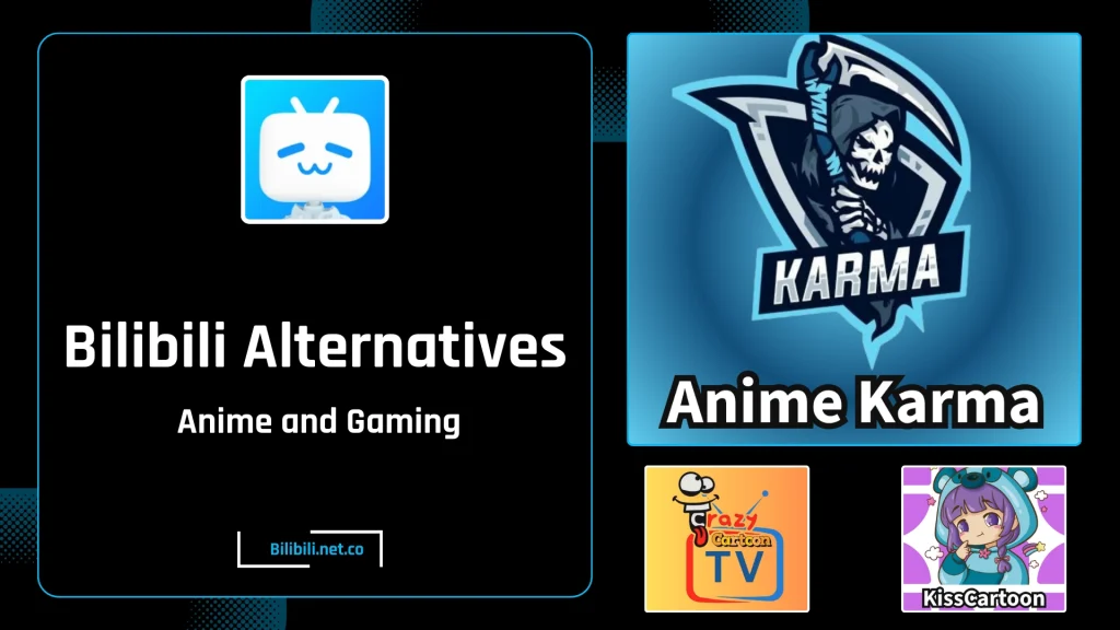 Bilibili Alternatives 1