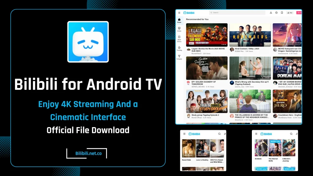 Download Bilibili For Android TV