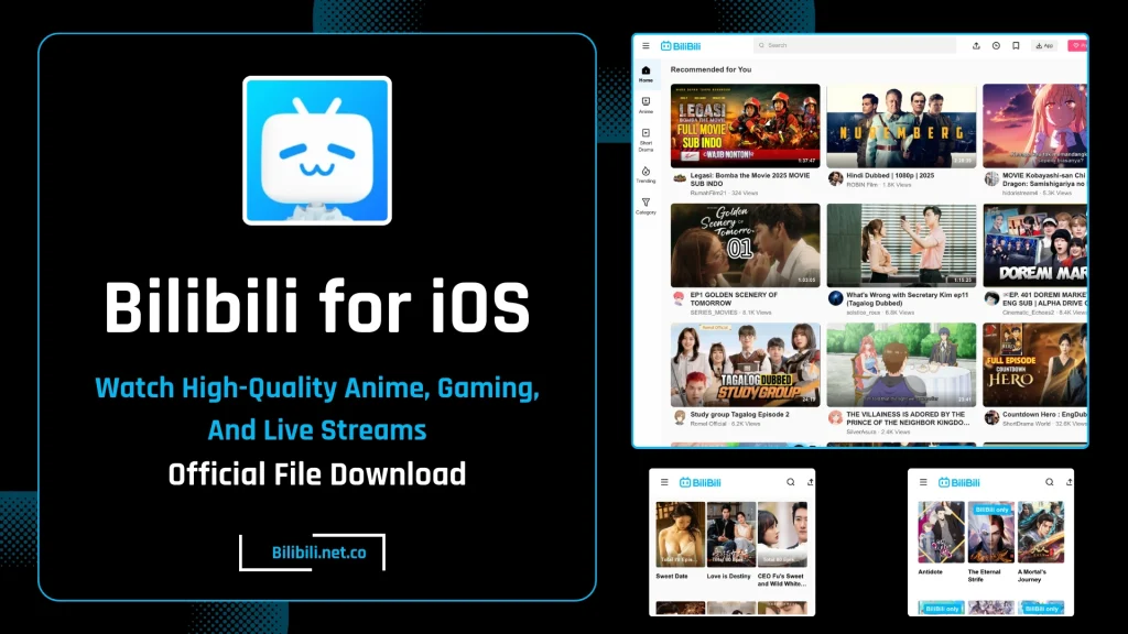 Download Bilibili for iOS updated version.